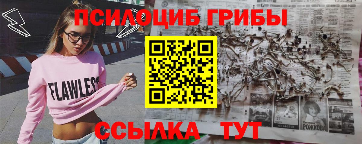 Карабулак  Галлюциногенные грибы Magic Shrooms  Вход с VPN 